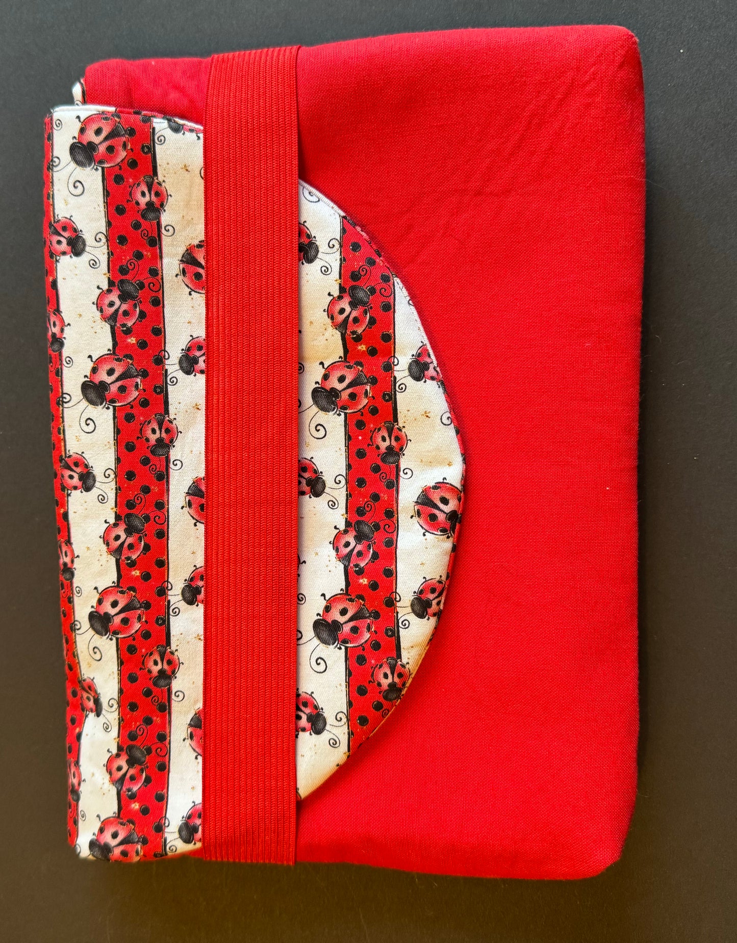 Storykeeper Kindle Sleeve